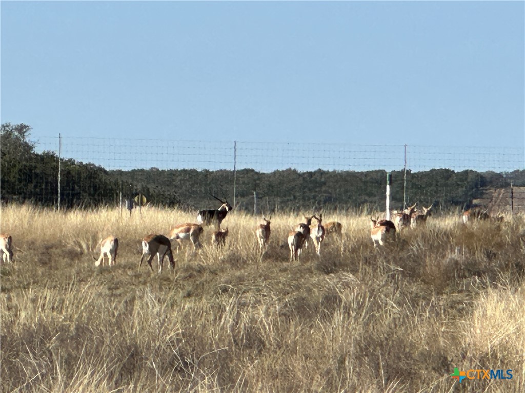 Lot 186 Blackbuck Ridge Drive Property Photo 16