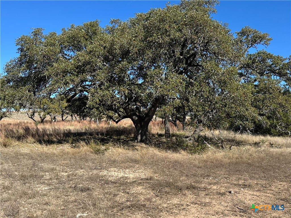 Lot 186 Blackbuck Ridge Drive Property Photo 22