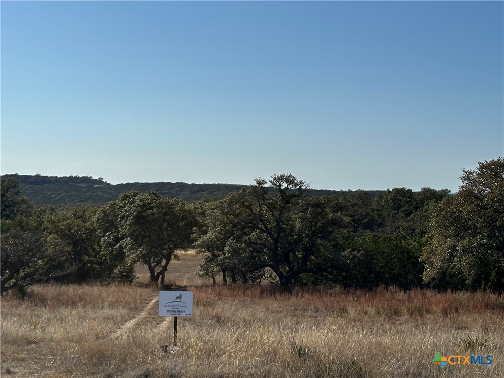 Lot 186 Blackbuck Ridge Drive Property Photo 25