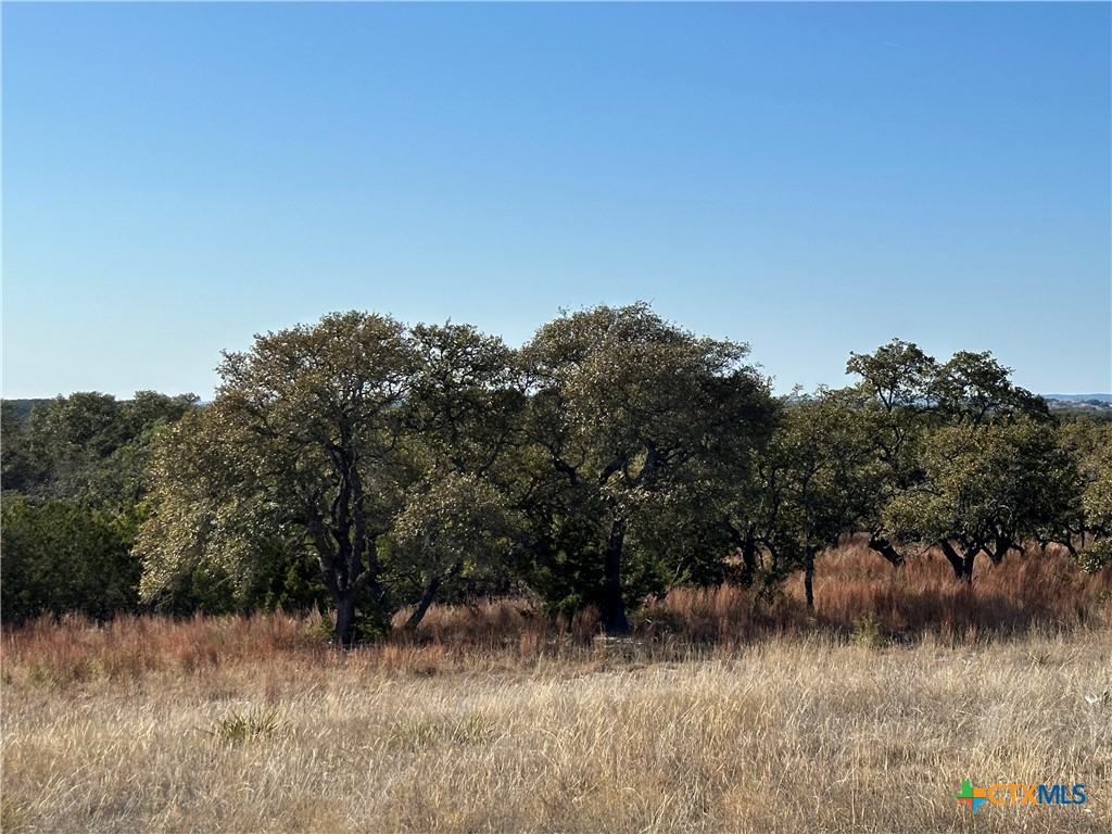 Lot 186 Blackbuck Ridge Drive Property Photo 26