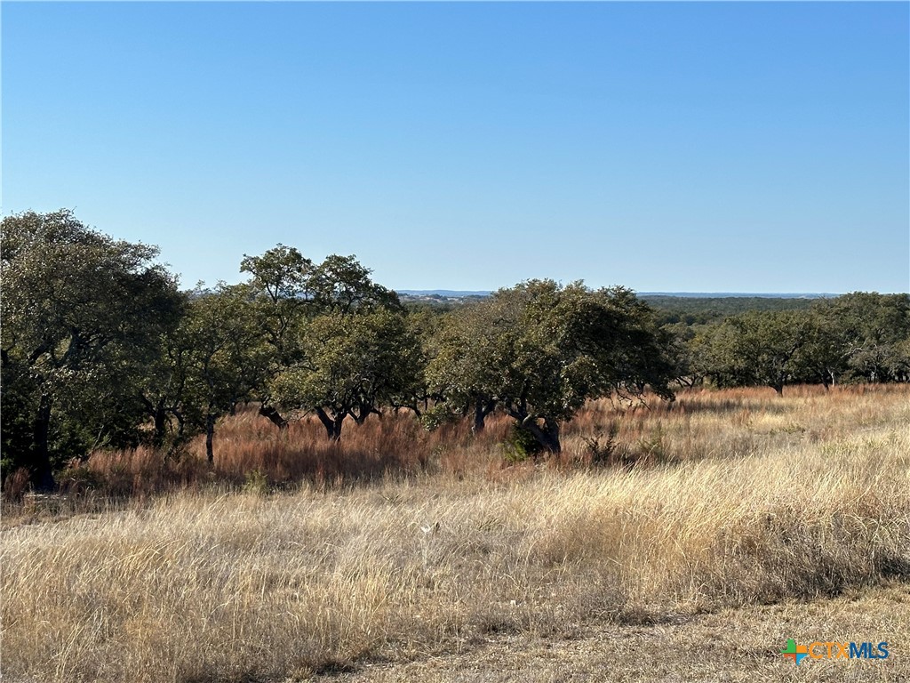 Lot 186 Blackbuck Ridge Drive Property Photo 27