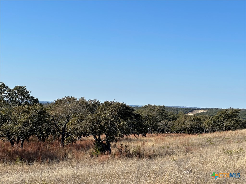 Lot 186 Blackbuck Ridge Drive Property Photo 29