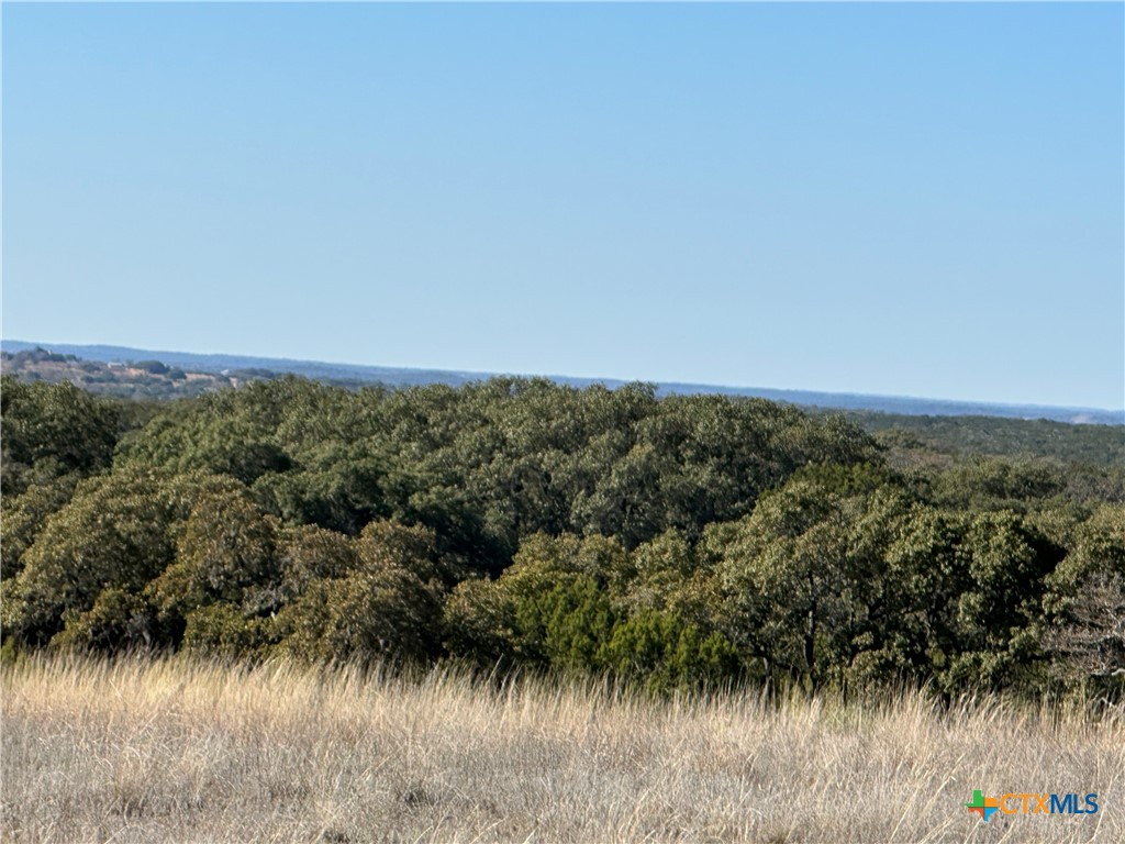 Lot 186 Blackbuck Ridge Drive Property Photo 30