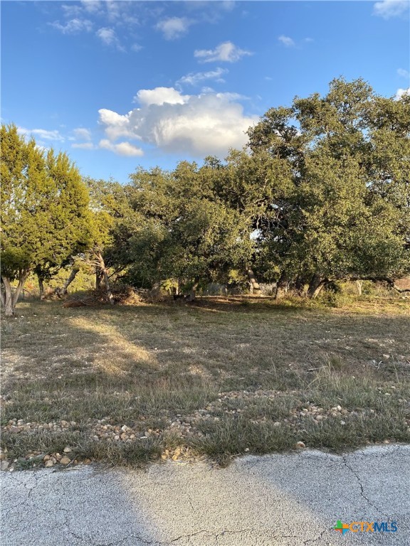 1033 Bluewater Place Property Photo 3