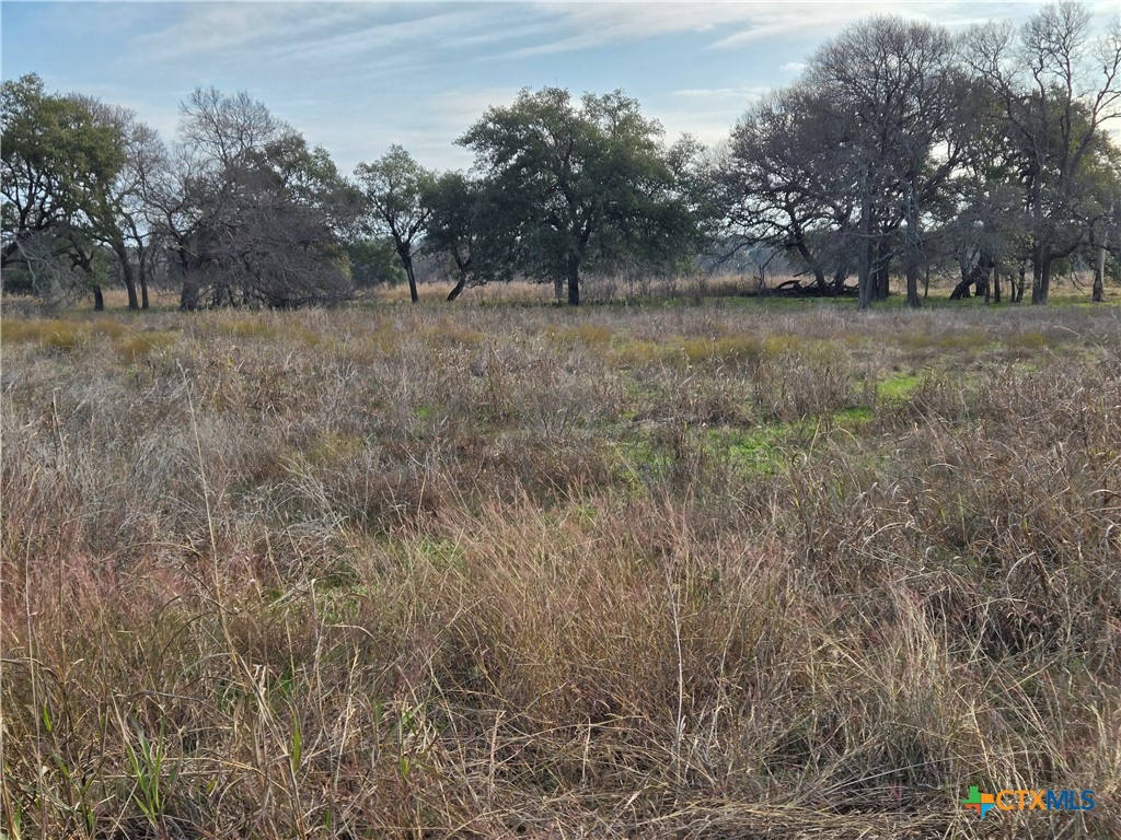 454 Grand Canyon Drive Property Photo 3