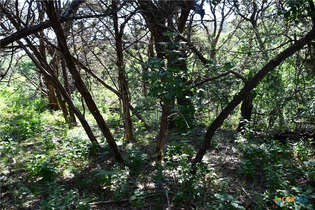 6013 Hamlet Drive Property Photo 11