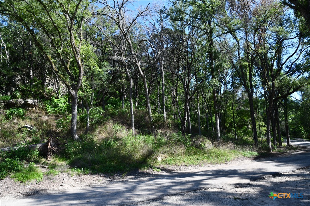 6013 Hamlet Drive Property Photo 13