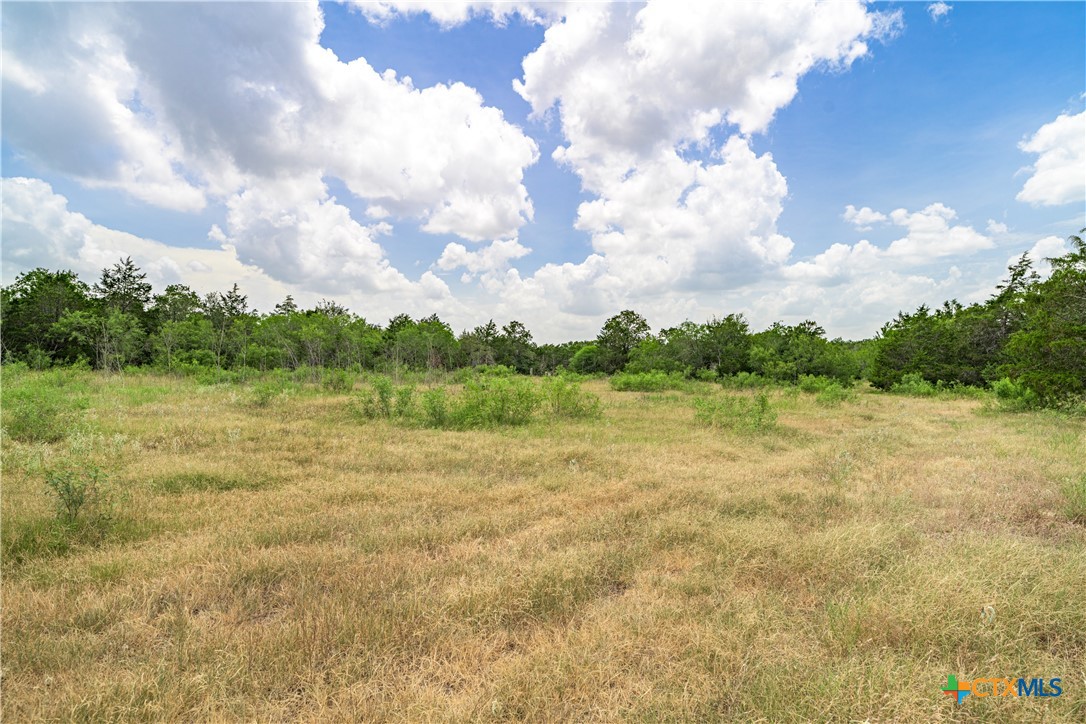 5850 Brown Road Property Photo 5