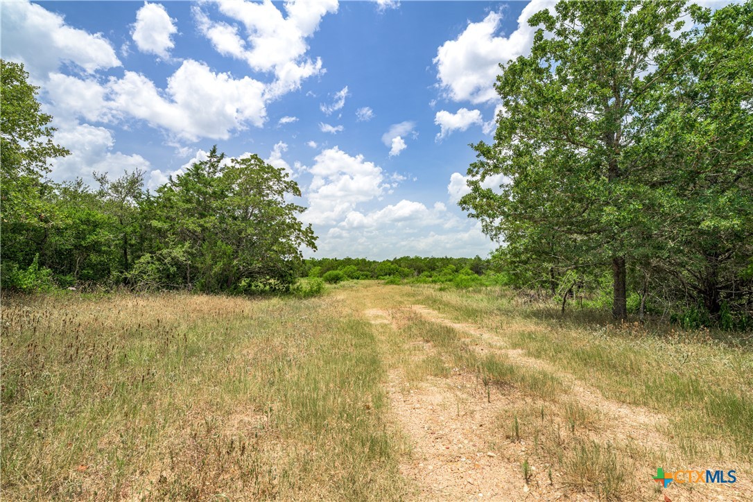 5850 Brown Road Property Photo 7