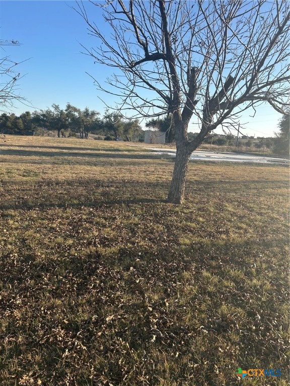 11733 Fm 2843 Property Photo 3