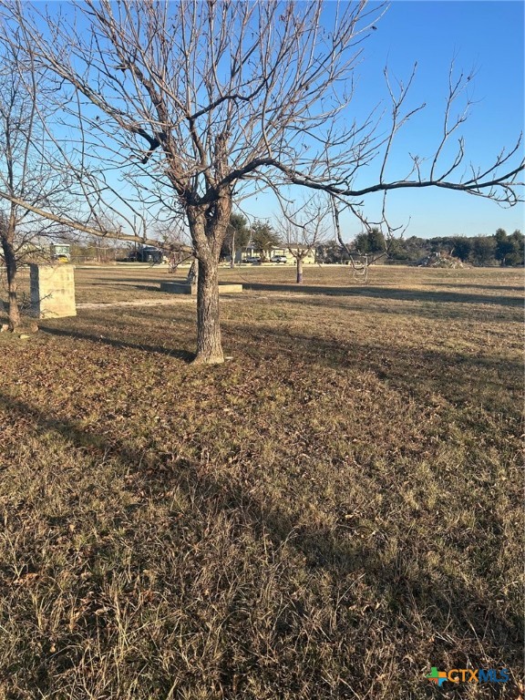 11733 Fm 2843 Property Photo 4