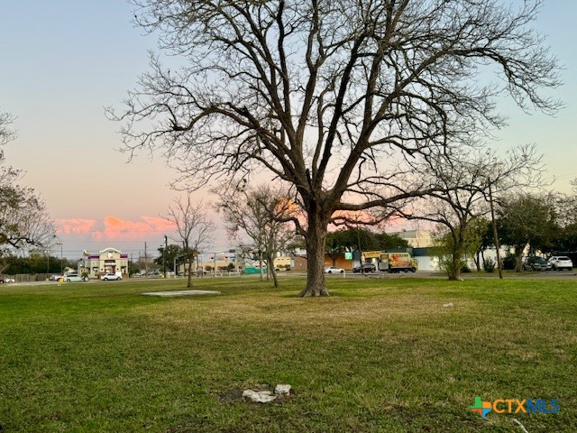 1601 N Navarro Street Property Photo 3