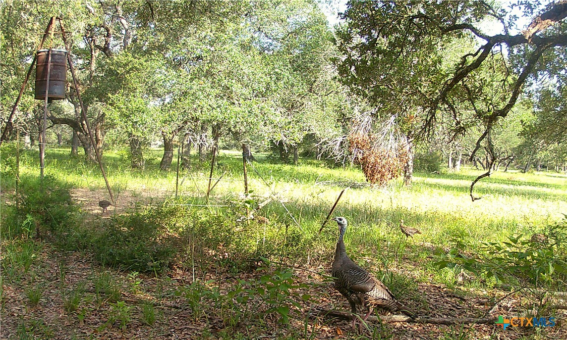 Tbd3 County Road 19 Property Photo 3