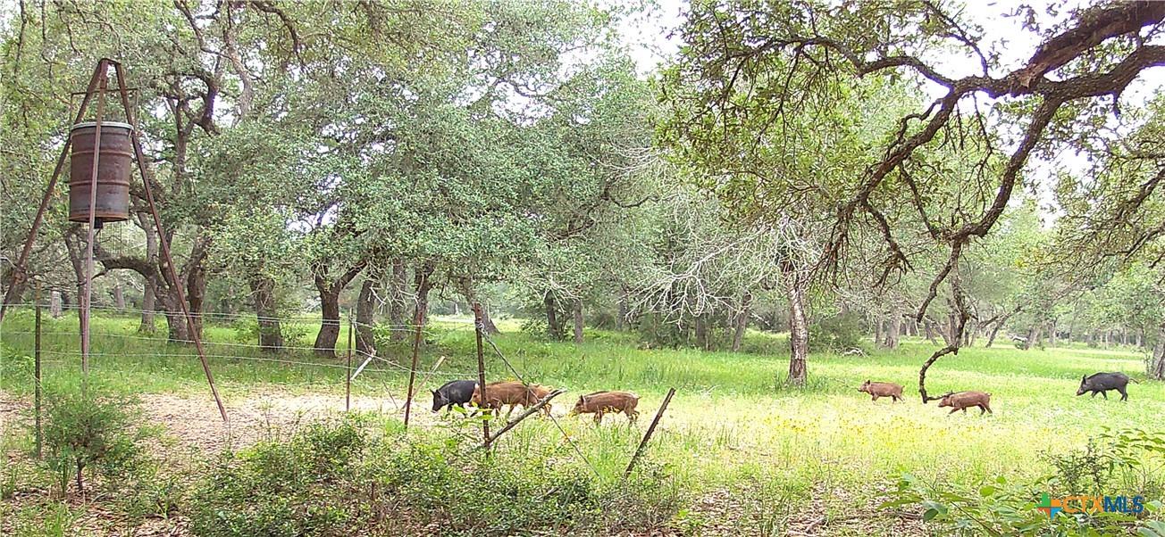 Tbd3 County Road 19 Property Photo 4