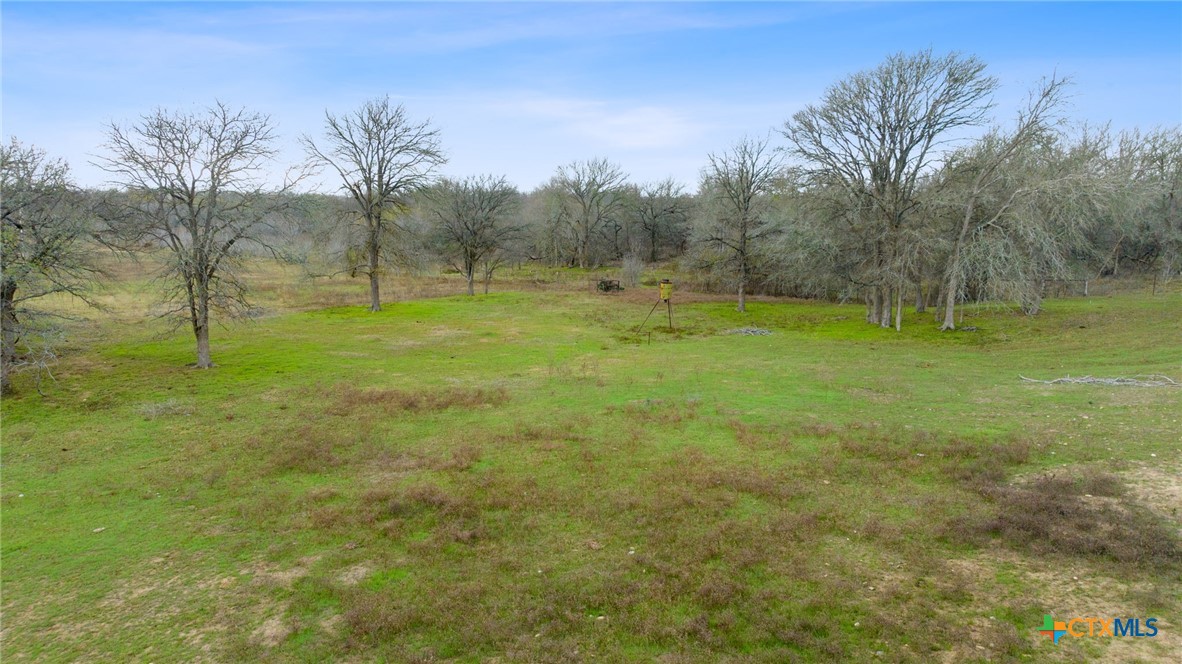 3466 Fm 671 Property Photo 6