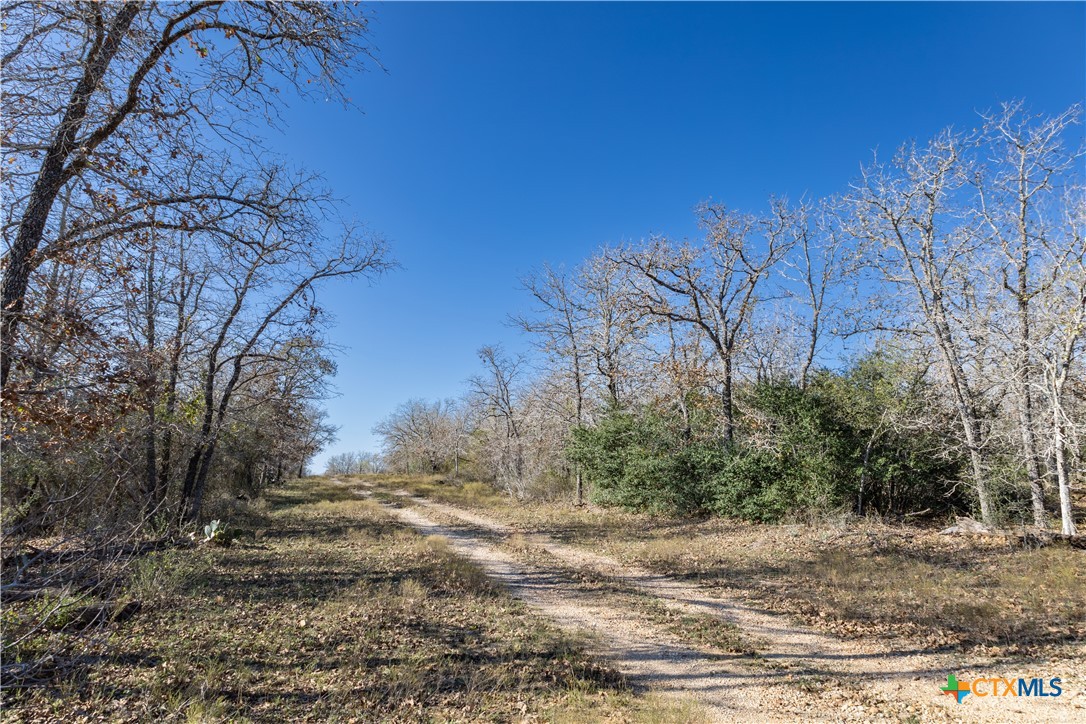 399 Seals Creek Road Property Photo 14