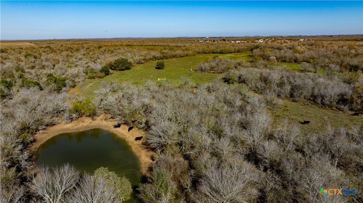 399 Seals Creek Road Property Photo 8