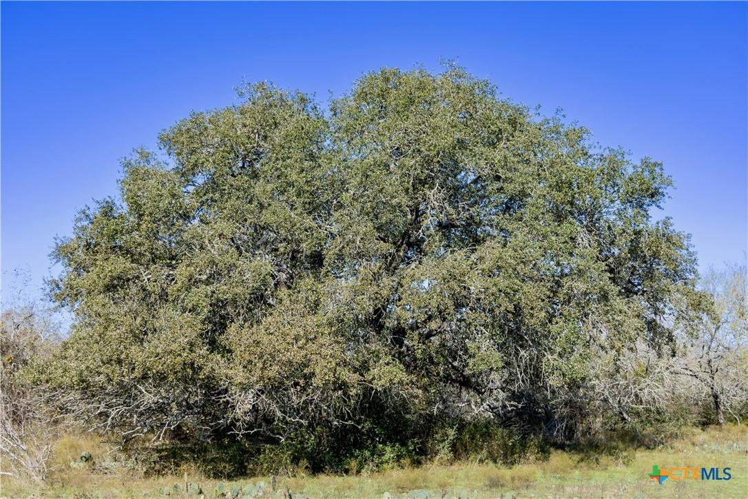 399 Seals Creek Road Property Photo 10