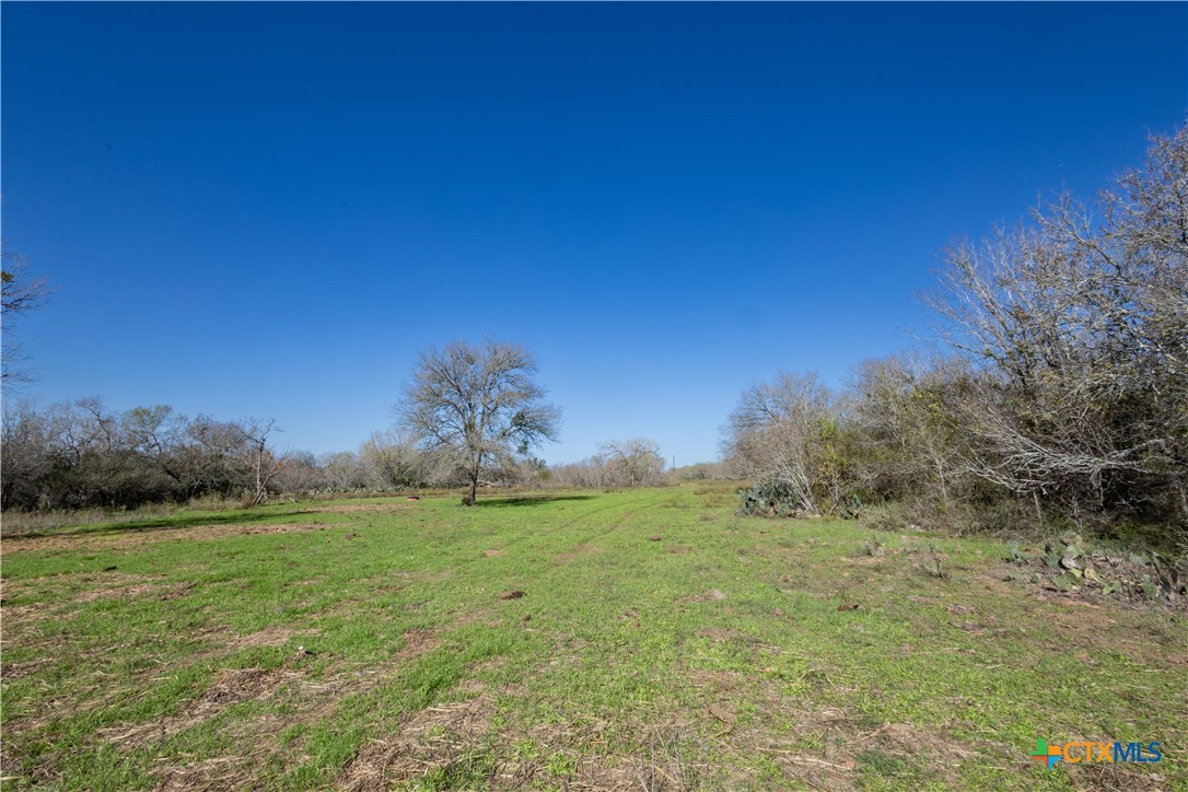 399 Seals Creek Road Property Photo 11