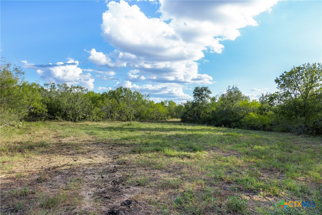 399 Seals Creek Road Property Photo 12