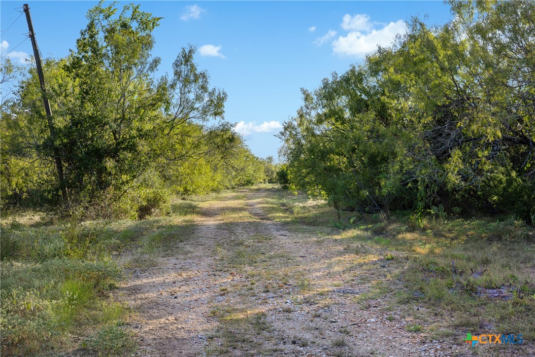 399 Seals Creek Road Property Photo 21
