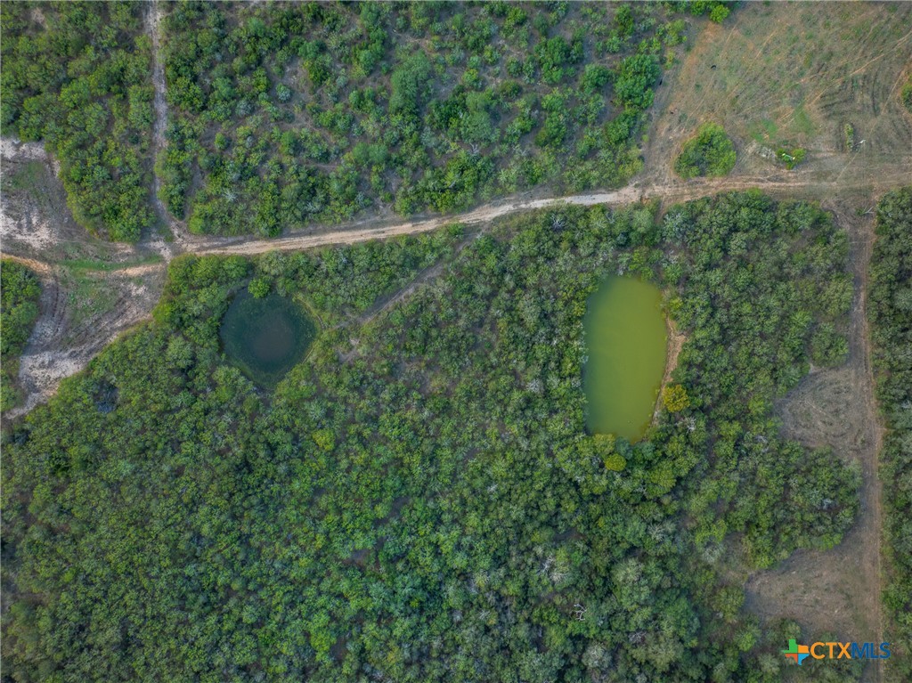 399 Seals Creek Road Property Photo 40
