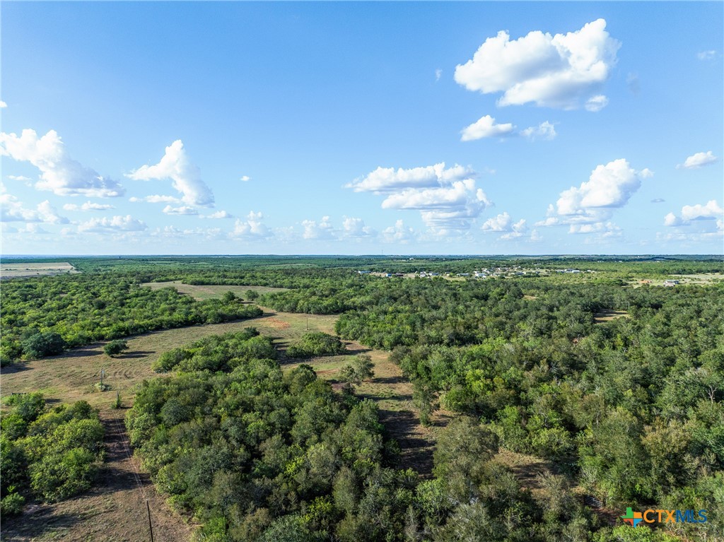 399 Seals Creek Road Property Photo 3