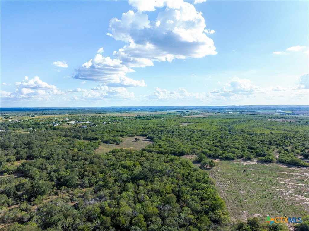 399 Seals Creek Road Property Photo 4