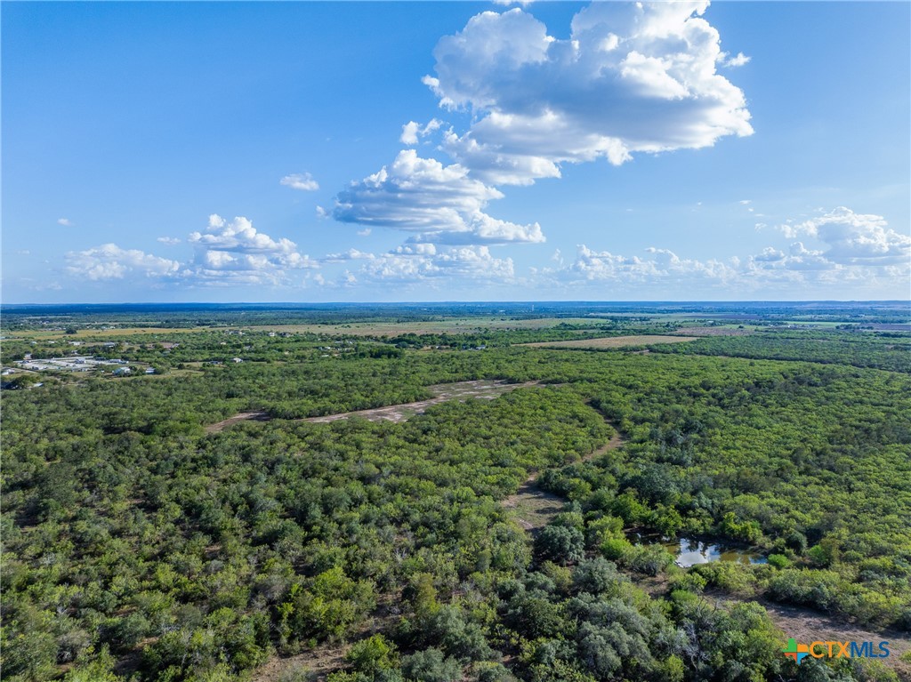 399 Seals Creek Road Property Photo 5