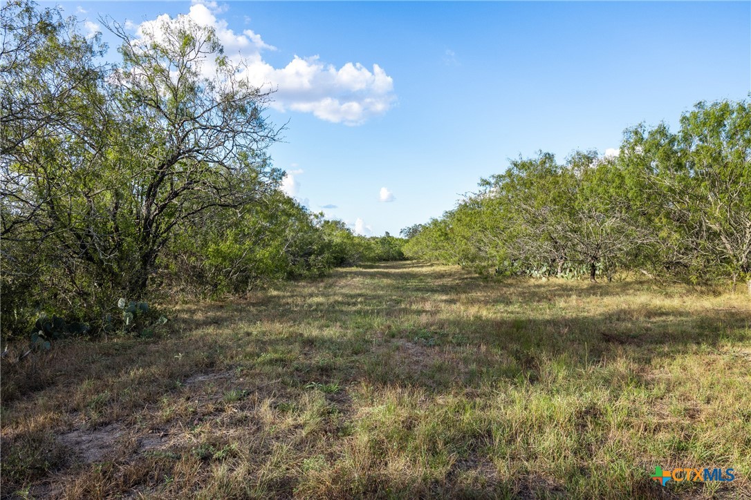 399 Seals Creek Road Property Photo 6
