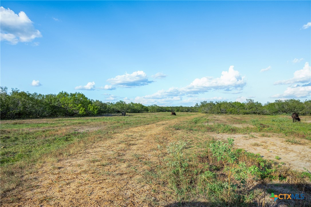 399 Seals Creek Road Property Photo 7