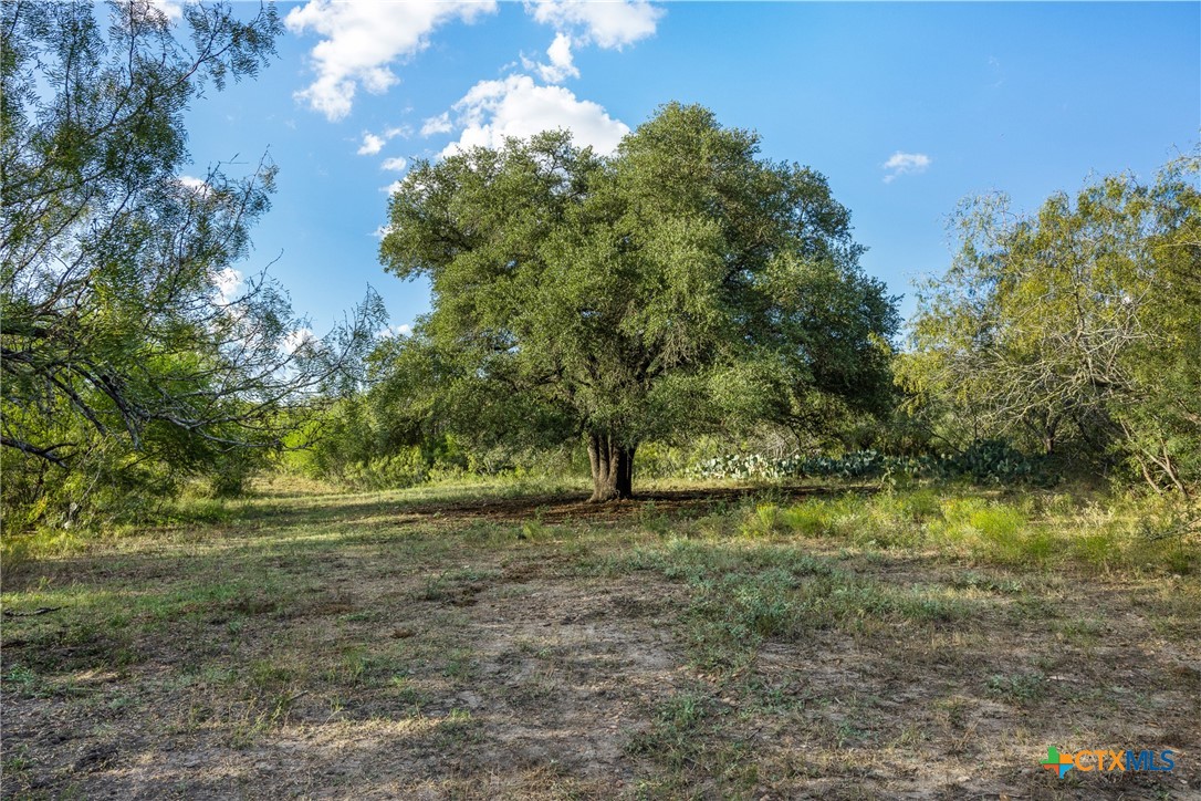399 Seals Creek Road Property Photo 10