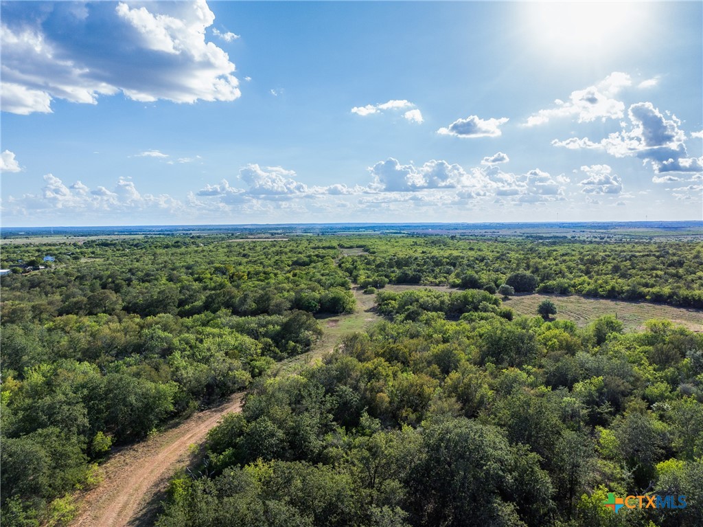 399 Seals Creek Road Property Photo 13