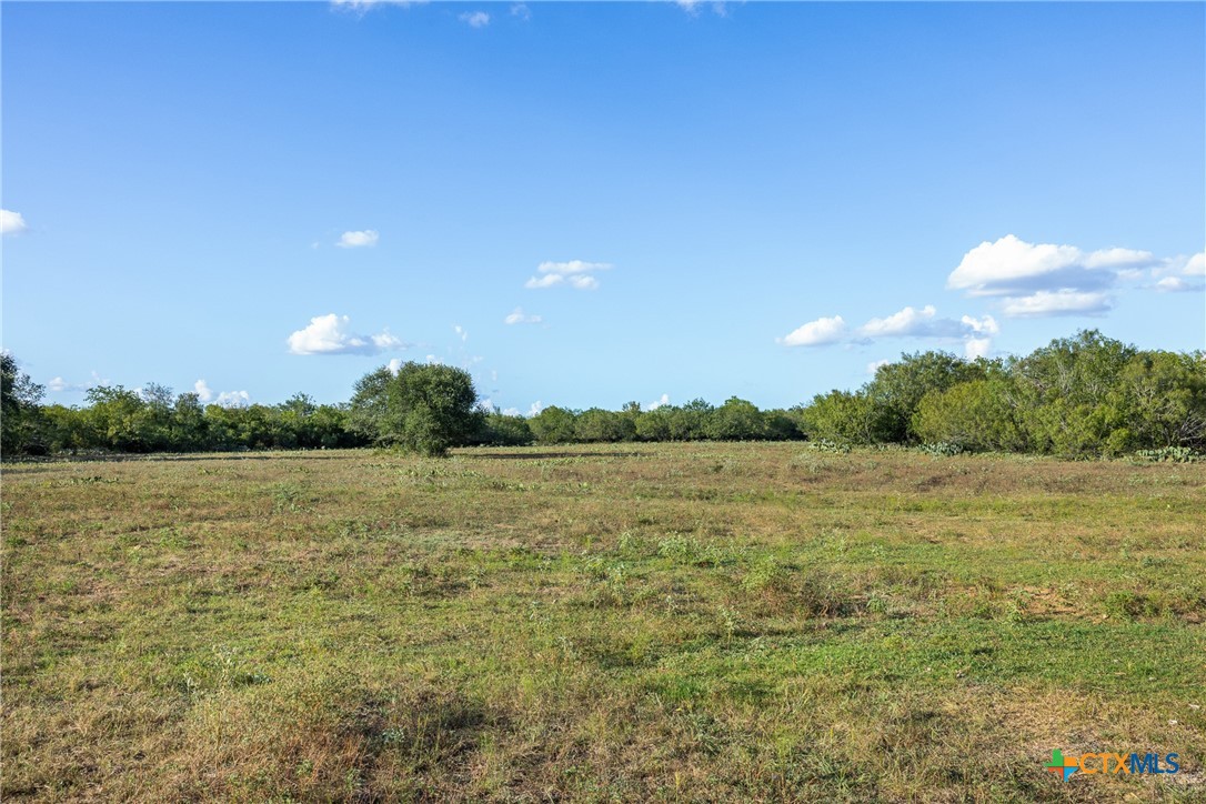 399 Seals Creek Road Property Photo 23