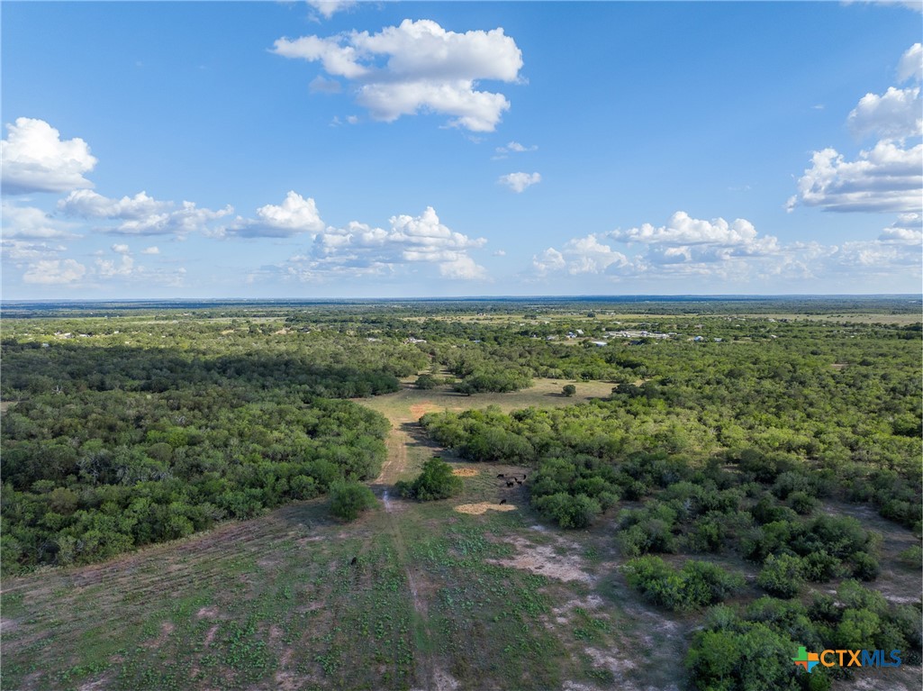 399 Seals Creek Road Property Photo 37