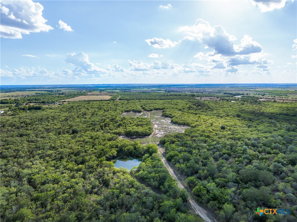 399 Seals Creek Road Property Photo 39