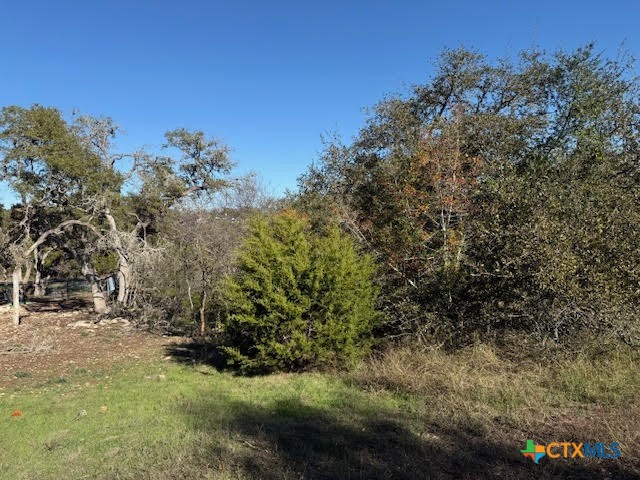 206 Falling Hills Property Photo 2