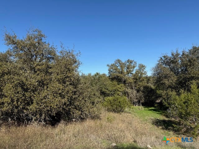 206 Falling Hills Property Photo 3