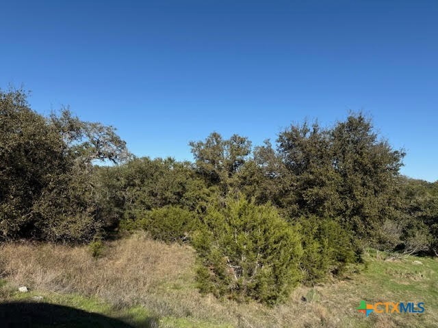 206 Falling Hills Property Photo 4