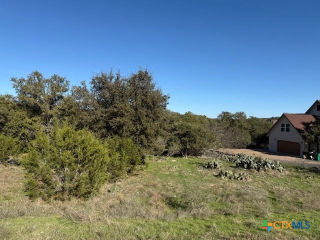 206 Falling Hills Property Photo 5