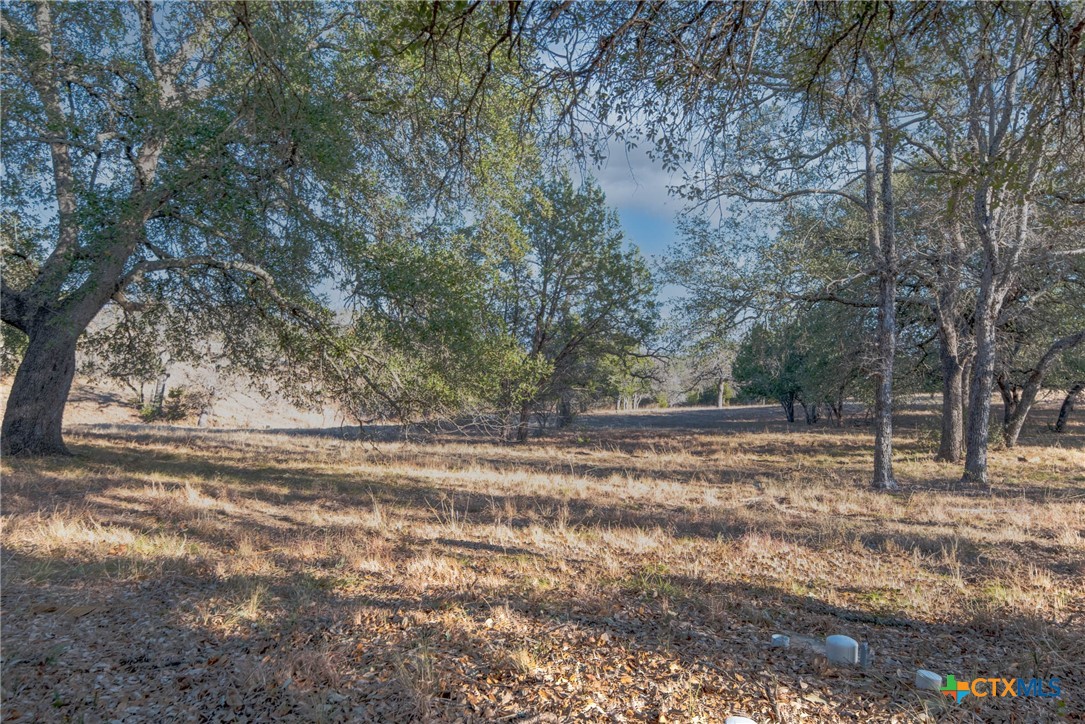 301 Quartz Way Property Photo 19