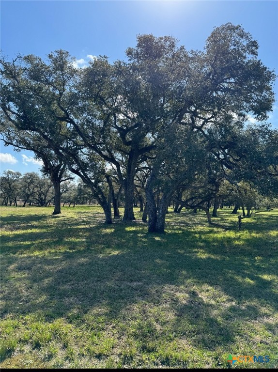91 Post Oak Branch Property Photo 2