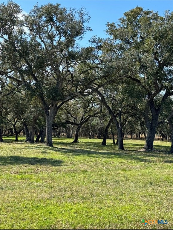 91 Post Oak Branch Property Photo 4
