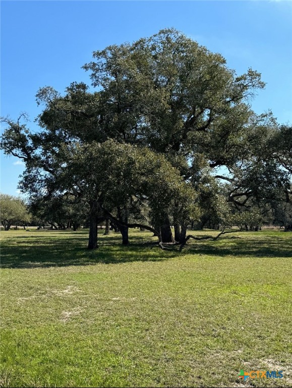 91 Post Oak Branch Property Photo 5