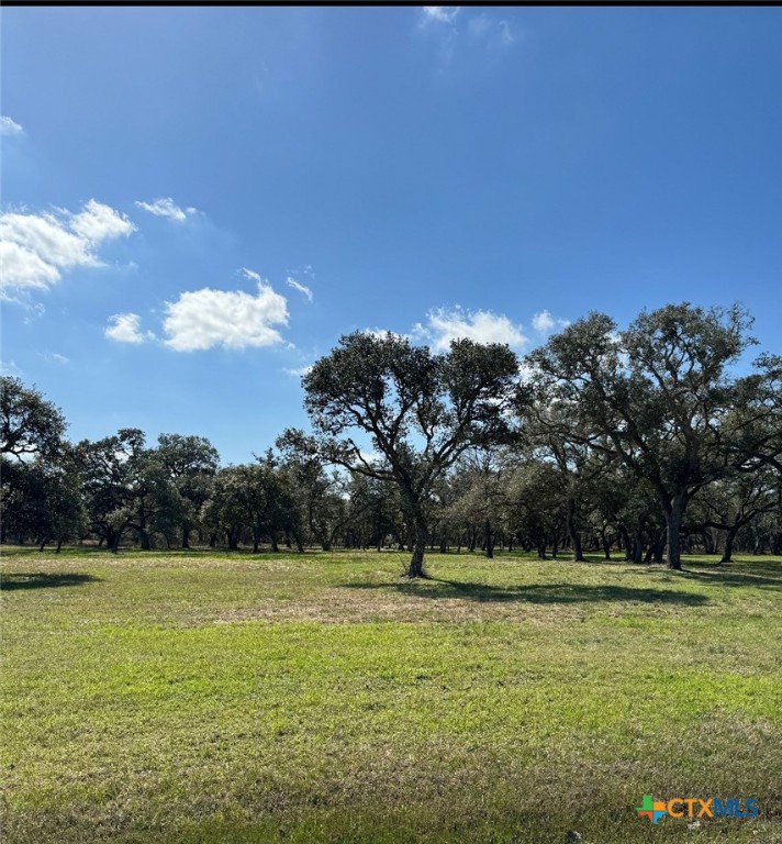 91 Post Oak Branch Property Photo 7