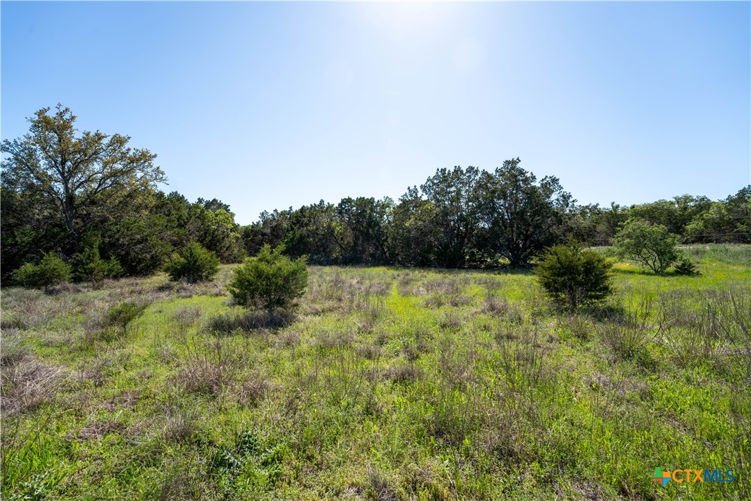 1720 Demi John Bend Road Property Photo 5