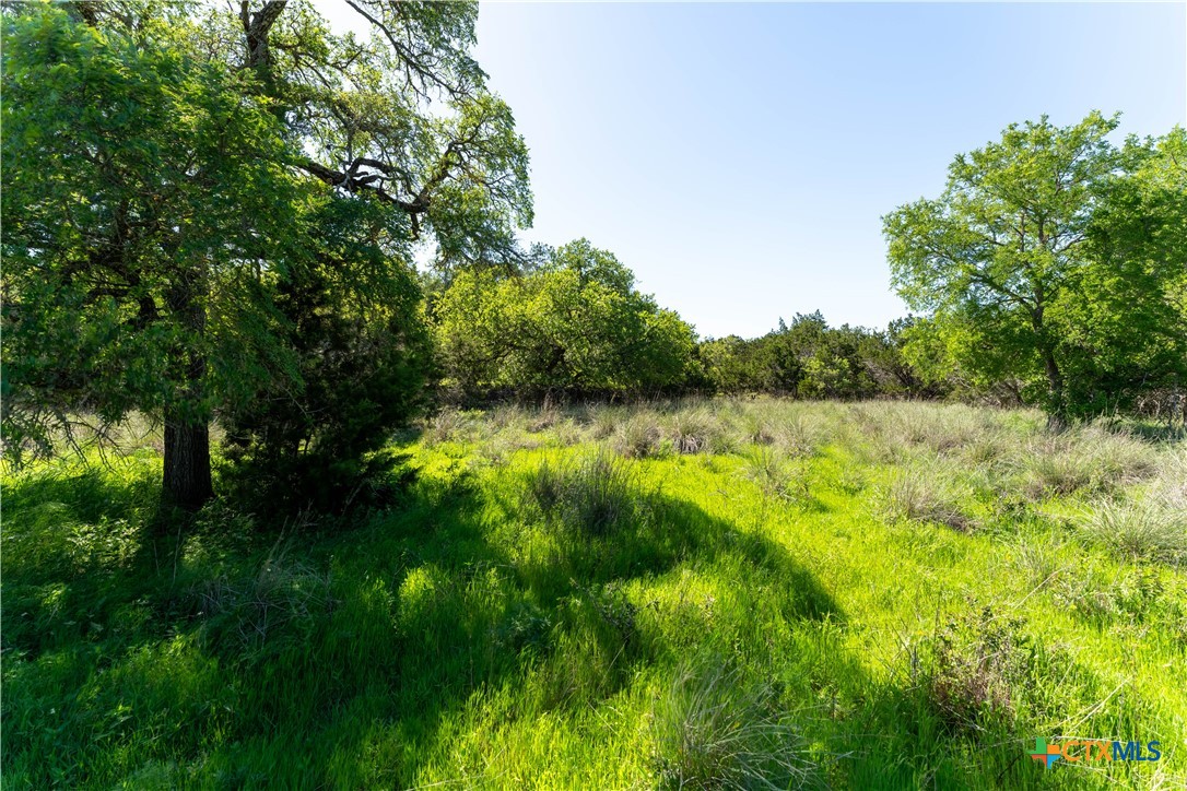 1720 Demi John Bend Road Property Photo 6