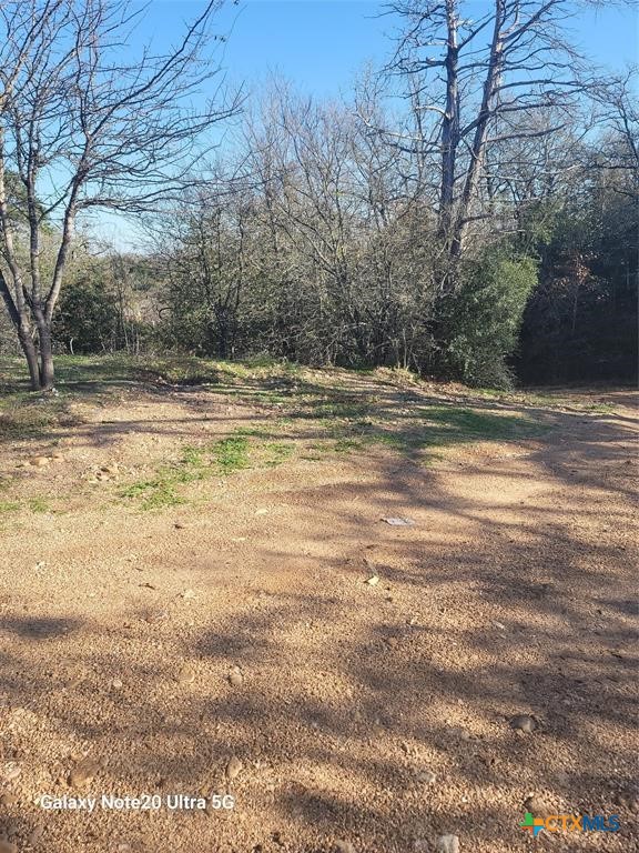 702 Fm 1209 Property Photo 3