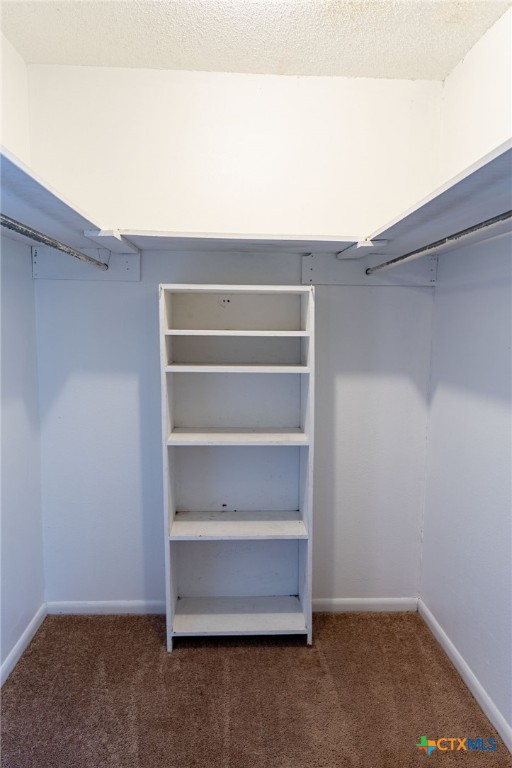 109 Westwood Street Property Photo 29