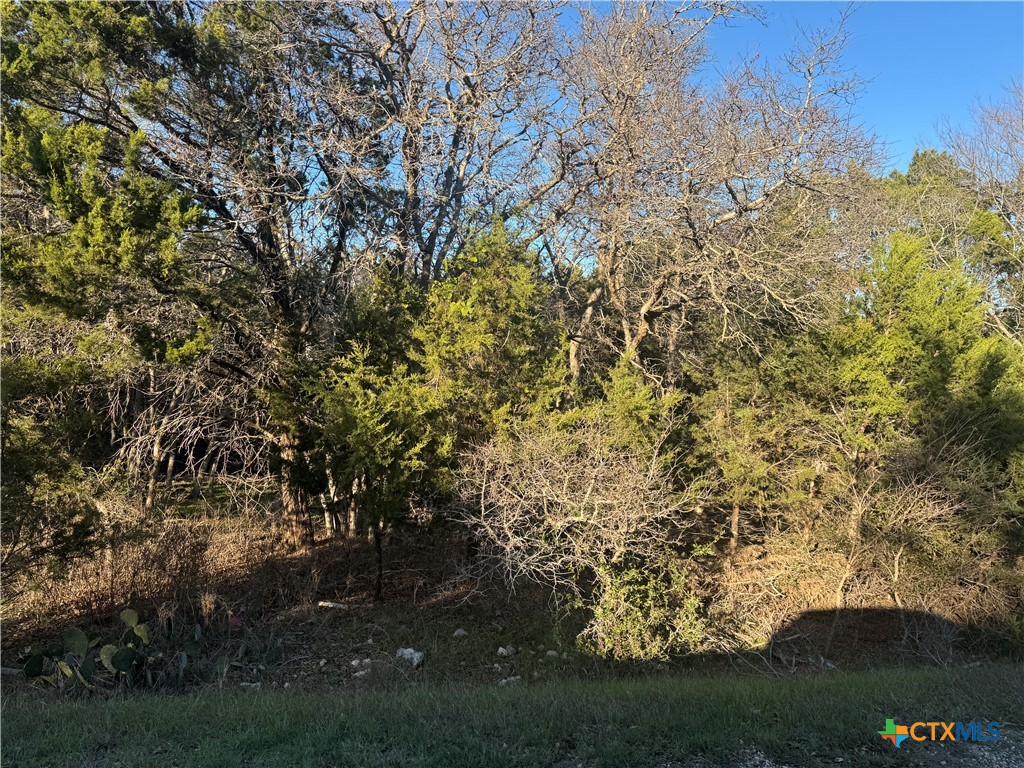 14897 Cart Road Property Photo 1